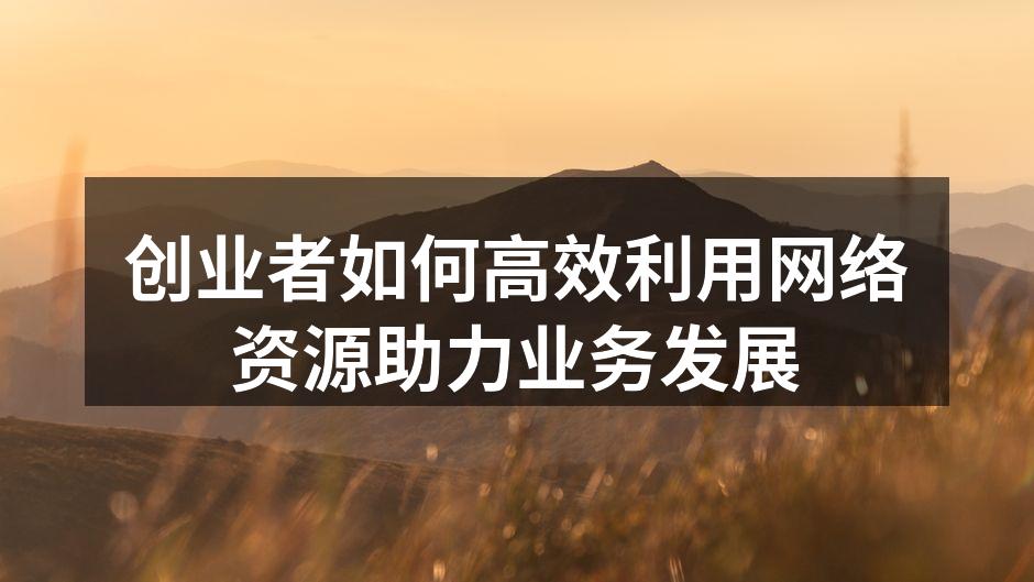 创业者如何高效利用网络资源助力业务发展
