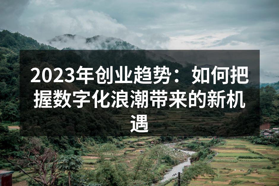2023年创业趋势：如何把握数字化浪潮带来的新机遇